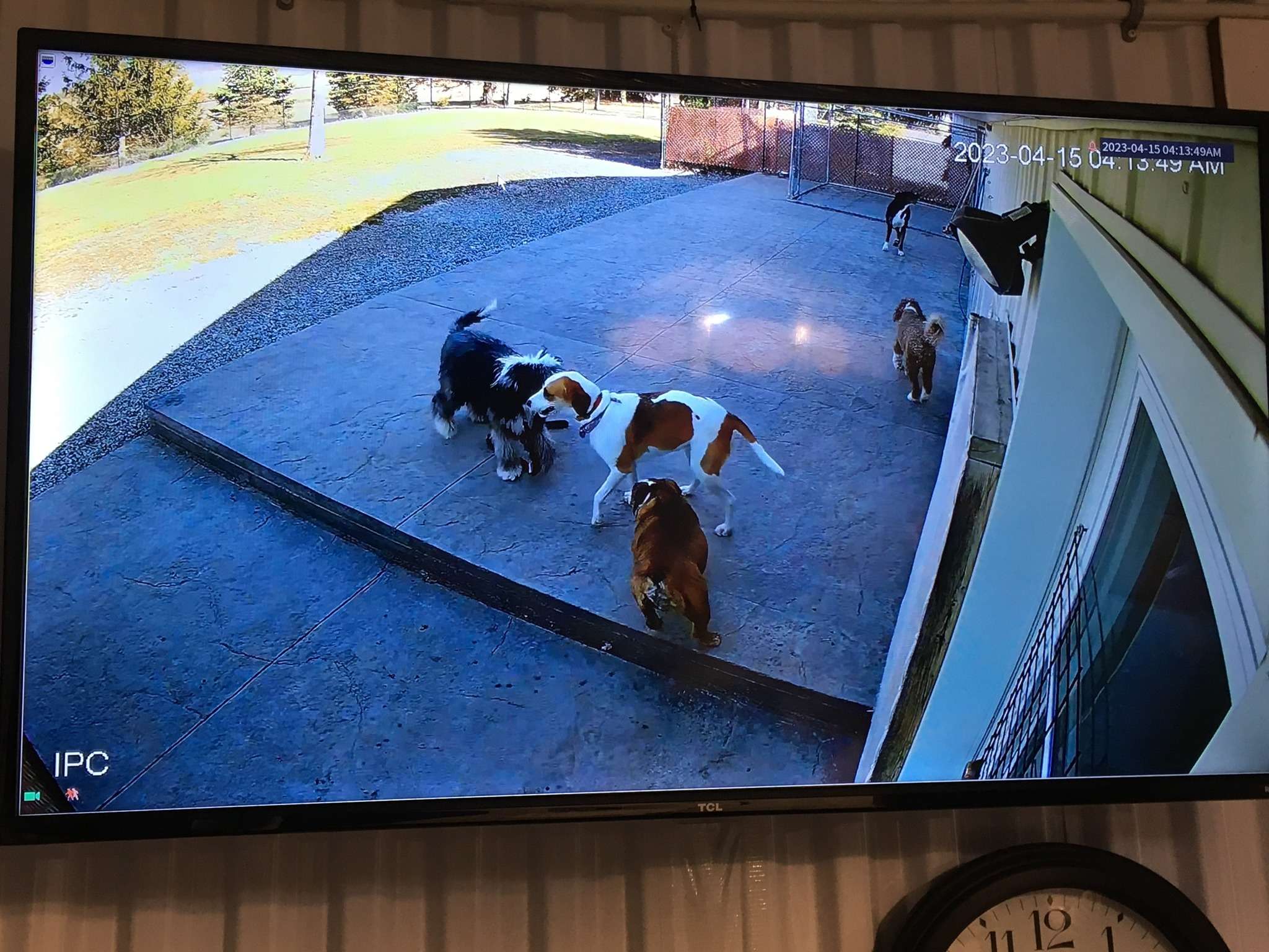 Security cameras