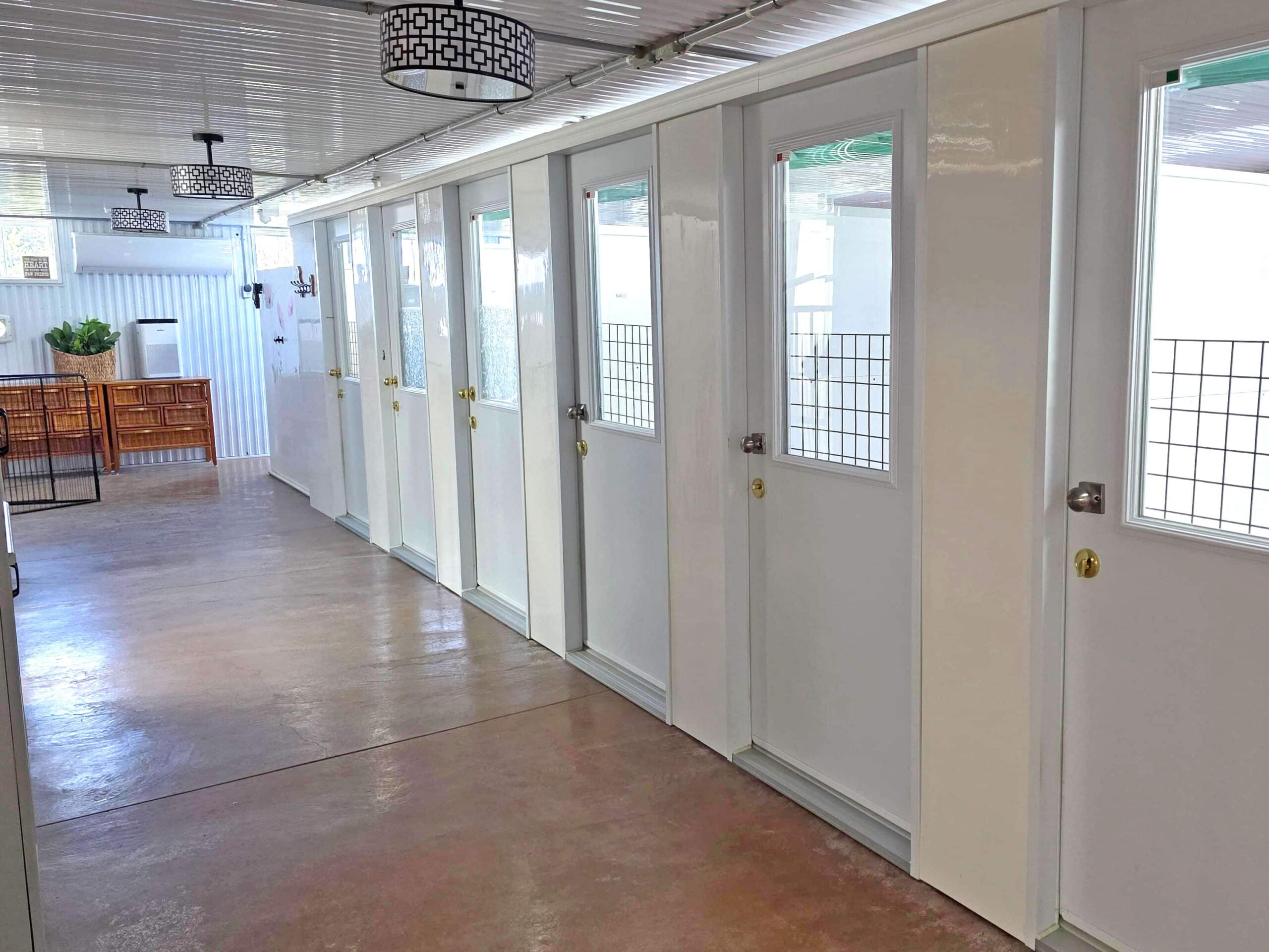 Overnight Pet Boarding Rooms